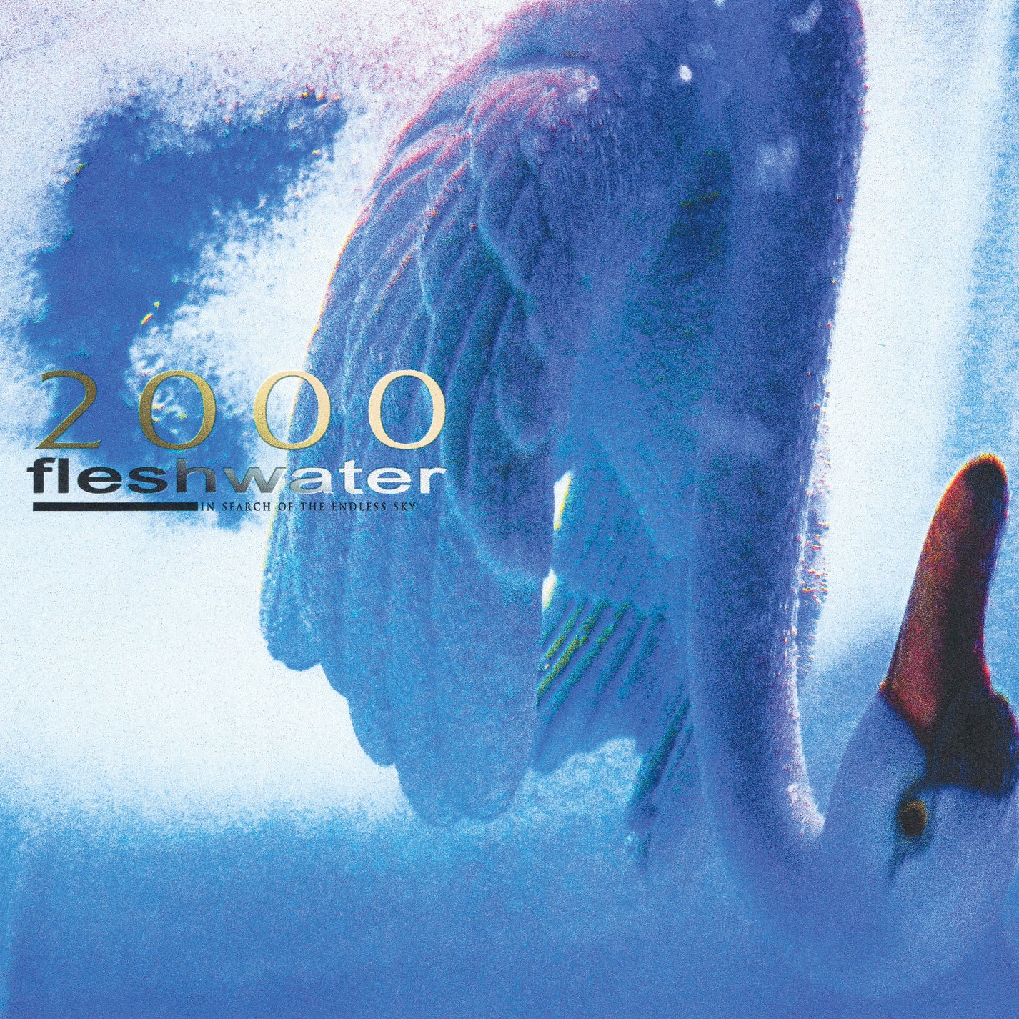 FLESHWATER "2000: In Search Of The Endless Sky" LP