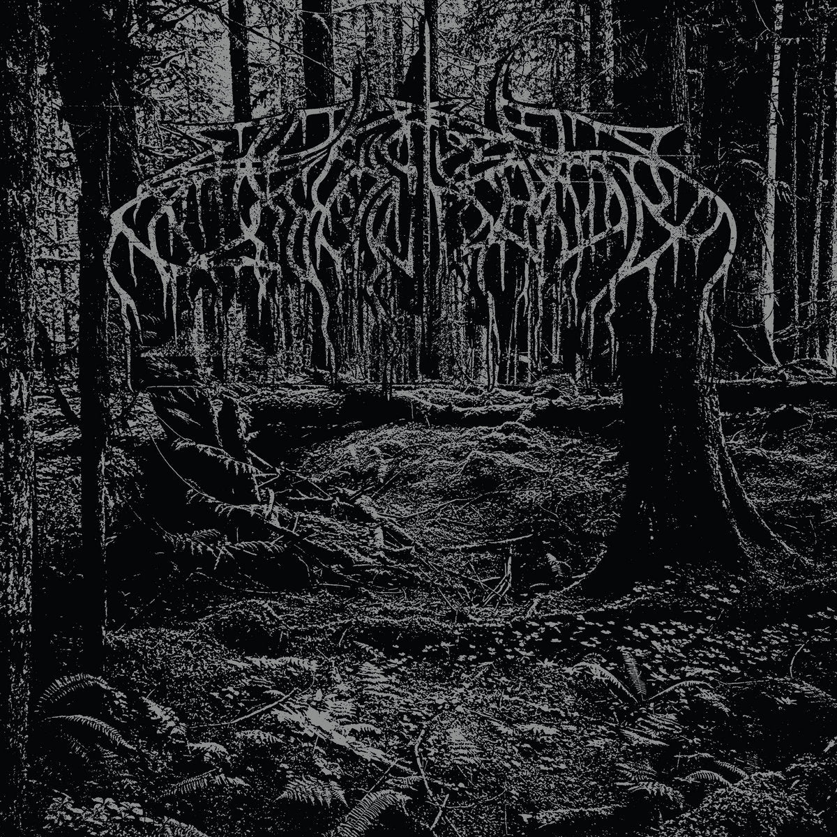 WOLVES IN THE THRONE ROOM "Demo 2005" LP